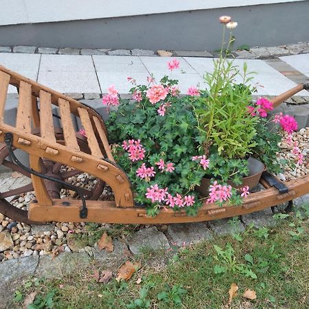 Ferienwohnung Bittner Klitten エクステリア 写真